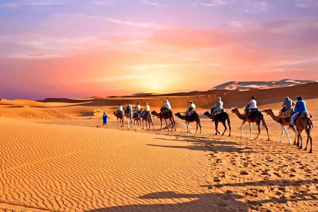 Desert Luxury Camp M'Hamid Bagian luar foto